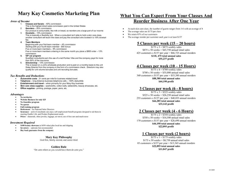 cosmetic business plan examples