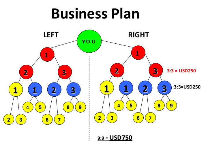 Компенсационный план qnet